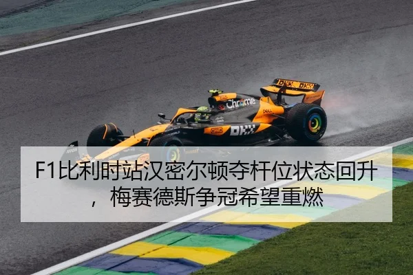 bi-li-shi-zhan-han-mi-er-dun-duo-gan-wei-zhuang-tai-hui-sheng-mei-sai-de-si-zheng-guan-xi-wang-zhong-ran-3-184.jpg