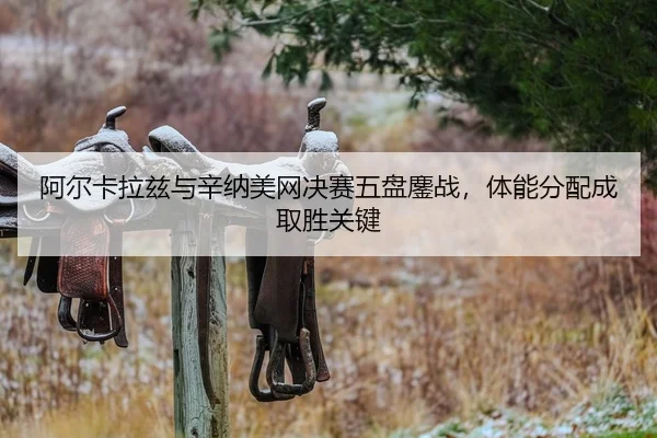 a-er-ka-la-zi-yu-xin-na-mei-wang-jue-sai-wu-pan-ao-zhan-ti-neng-fen-pei-cheng-qu-sheng-guan-jian-2-380.jpg