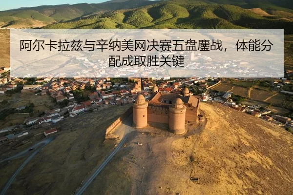 a-er-ka-la-zi-yu-xin-na-mei-wang-jue-sai-wu-pan-ao-zhan-ti-neng-fen-pei-cheng-qu-sheng-guan-jian-3-143.jpg